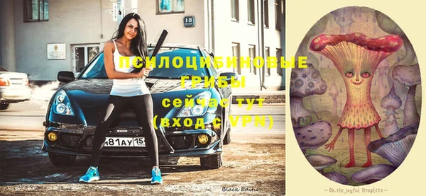 гашик Алзамай