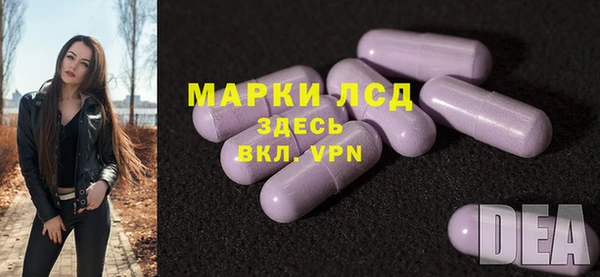 гашик Алзамай
