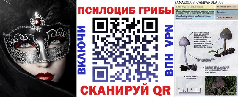 Галлюциногенные грибы Cubensis  omg tor  Рыбное 
